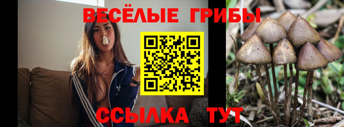 Галлюциногенные грибы MAGIC MUSHROOMS Мелеуз